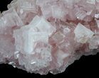 Pink Halite Crystal Plate - Trona, California #61059-1